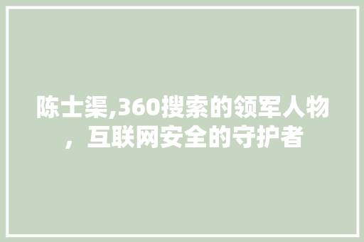 陈士渠,360搜索的领军人物，互联网安全的守护者