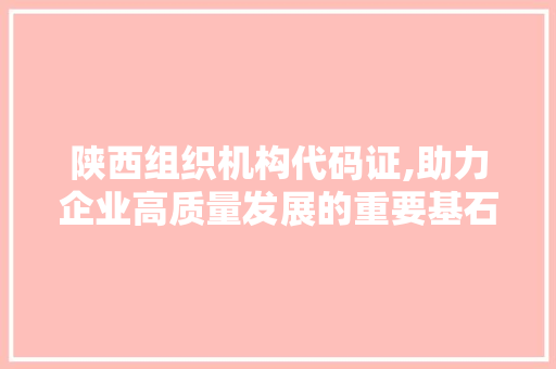 陕西组织机构代码证,助力企业高质量发展的重要基石 CSS