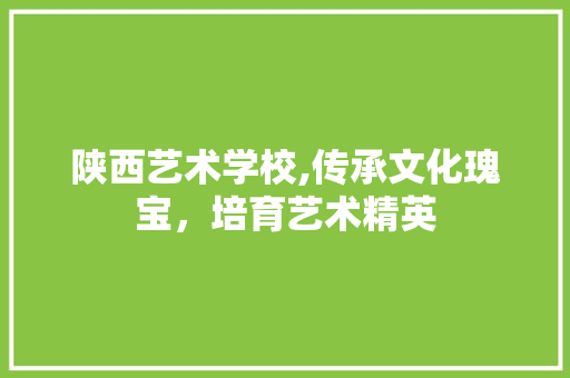 陕西艺术学校,传承文化瑰宝，培育艺术精英