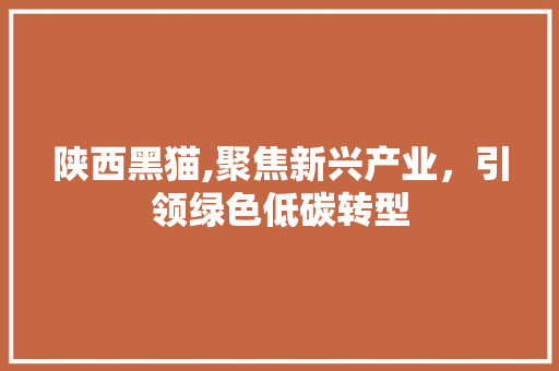 陕西黑猫,聚焦新兴产业，引领绿色低碳转型