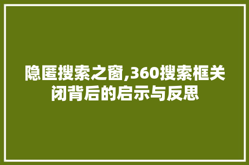 隐匿搜索之窗,360搜索框关闭背后的启示与反思