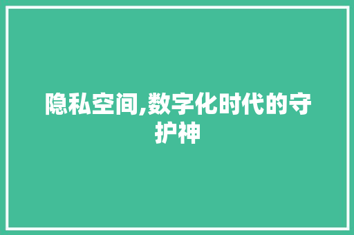 隐私空间,数字化时代的守护神