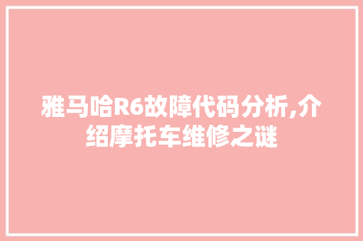 雅马哈R6故障代码分析,介绍摩托车维修之谜