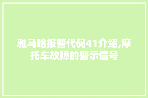 雅马哈报警代码41介绍,摩托车故障的警示信号