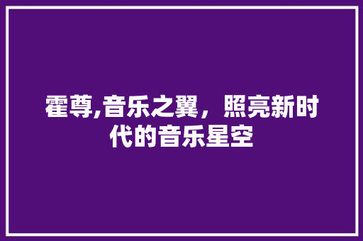 霍尊,音乐之翼，照亮新时代的音乐星空