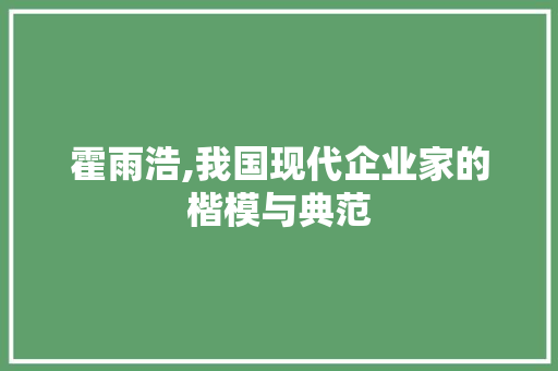 霍雨浩,我国现代企业家的楷模与典范