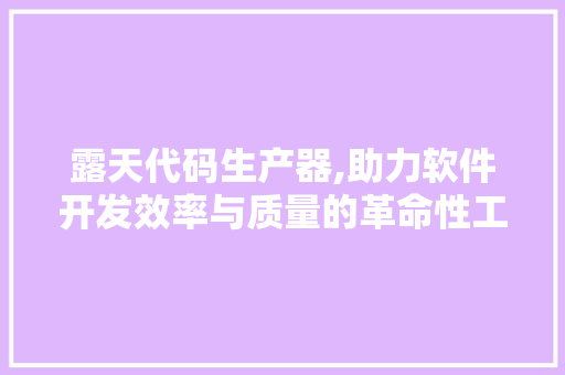 露天代码生产器,助力软件开发效率与质量的革命性工具