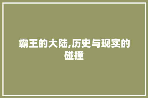 霸王的大陆,历史与现实的碰撞