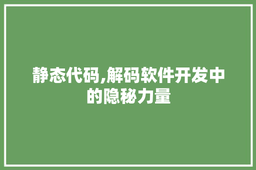 静态代码,解码软件开发中的隐秘力量