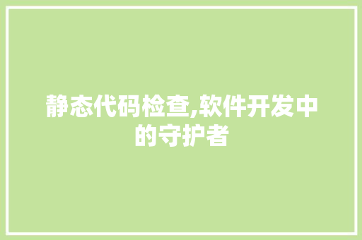 静态代码检查,软件开发中的守护者