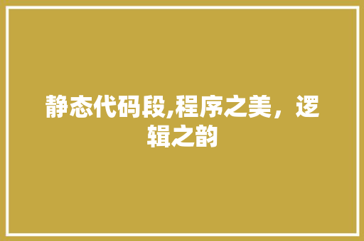 静态代码段,程序之美，逻辑之韵