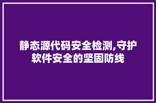 静态源代码安全检测,守护软件安全的坚固防线