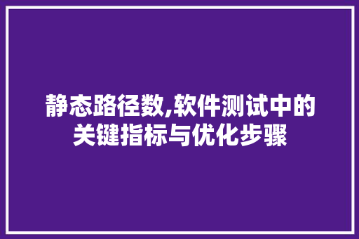 静态路径数,软件测试中的关键指标与优化步骤