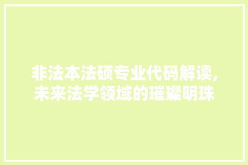 非法本法硕专业代码解读,未来法学领域的璀璨明珠