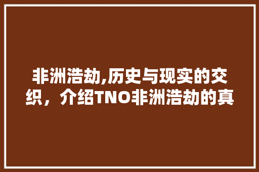 非洲浩劫,历史与现实的交织，介绍TNO非洲浩劫的真相