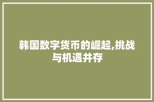 韩国数字货币的崛起,挑战与机遇并存