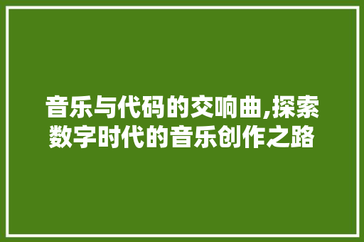 音乐与代码的交响曲,探索数字时代的音乐创作之路