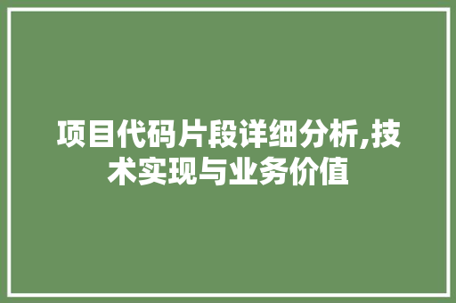 项目代码片段详细分析,技术实现与业务价值