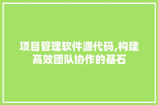 项目管理软件源代码,构建高效团队协作的基石