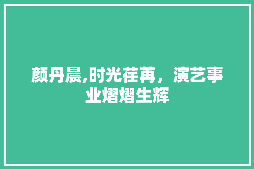 颜丹晨,时光荏苒，演艺事业熠熠生辉