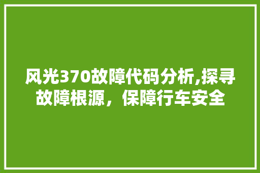 风光370故障代码分析,探寻故障根源，保障行车安全