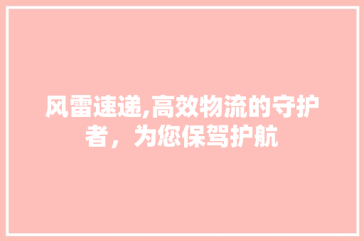 风雷速递,高效物流的守护者，为您保驾护航