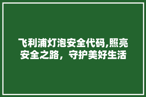 飞利浦灯泡安全代码,照亮安全之路，守护美好生活