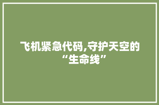 飞机紧急代码,守护天空的“生命线”