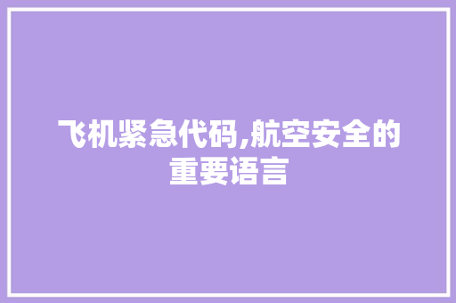 飞机紧急代码,航空安全的重要语言