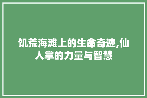 饥荒海滩上的生命奇迹,仙人掌的力量与智慧