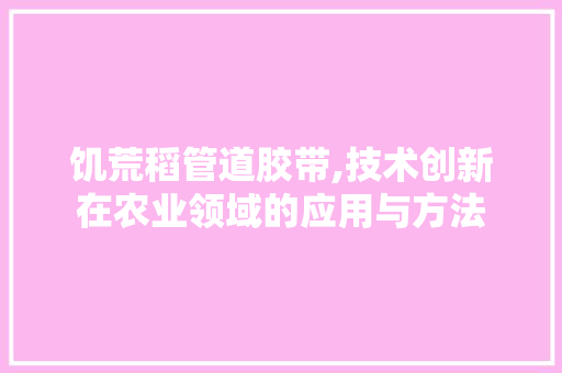 饥荒稻管道胶带,技术创新在农业领域的应用与方法