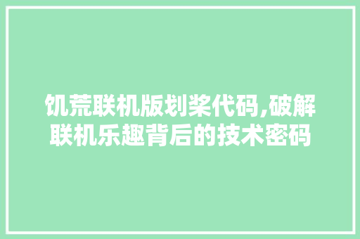 饥荒联机版划桨代码,破解联机乐趣背后的技术密码