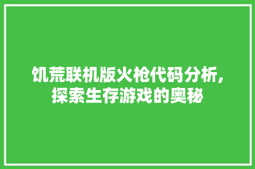 饥荒联机版火枪代码分析,探索生存游戏的奥秘