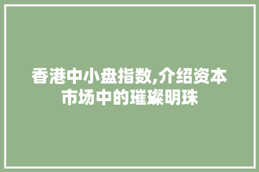 香港中小盘指数,介绍资本市场中的璀璨明珠