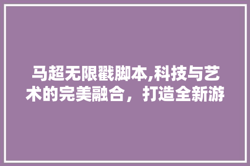 马超无限戳脚本,科技与艺术的完美融合，打造全新游戏体验