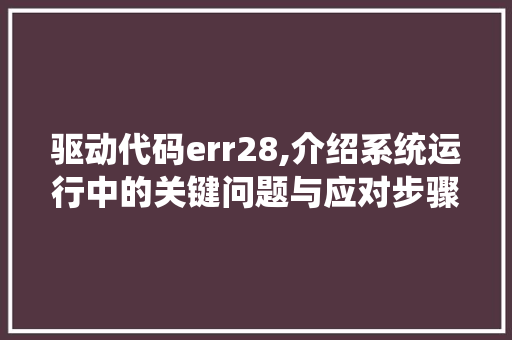 驱动代码err28,介绍系统运行中的关键问题与应对步骤