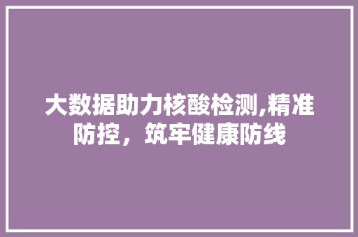 大数据助力核酸检测,精准防控，筑牢健康防线