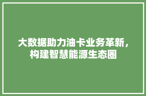 大数据助力油卡业务革新，构建智慧能源生态圈