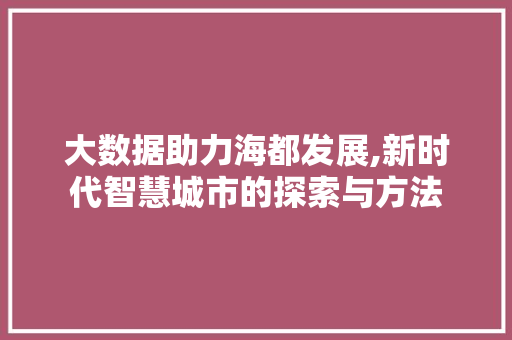 大数据助力海都发展,新时代智慧城市的探索与方法