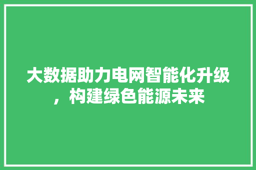 大数据助力电网智能化升级，构建绿色能源未来 GraphQL