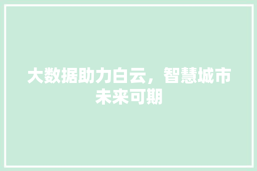 大数据助力白云，智慧城市未来可期