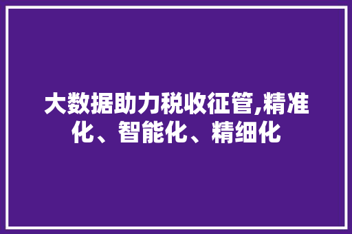 大数据助力税收征管,精准化、智能化、精细化