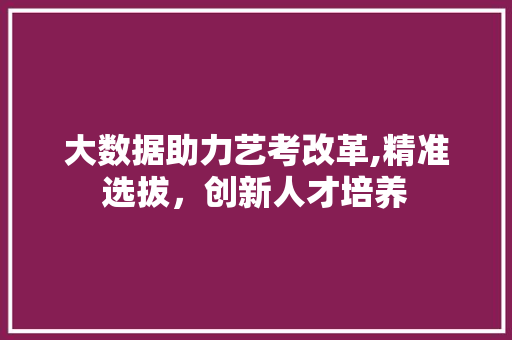 大数据助力艺考改革,精准选拔，创新人才培养 CSS