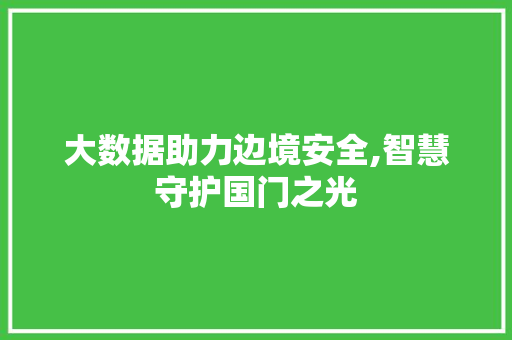 大数据助力边境安全,智慧守护国门之光