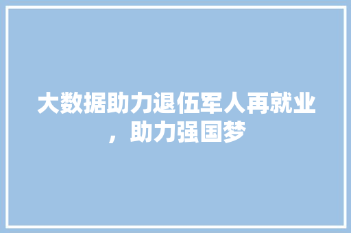 大数据助力退伍军人再就业，助力强国梦 CSS