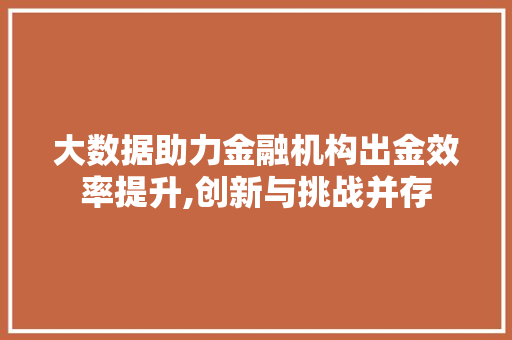 大数据助力金融机构出金效率提升,创新与挑战并存