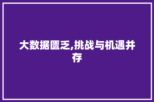 大数据匮乏,挑战与机遇并存