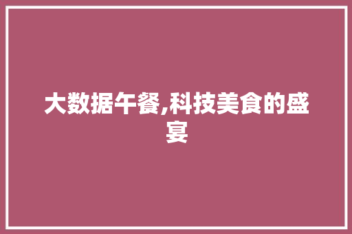 大数据午餐,科技美食的盛宴