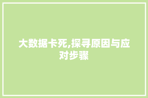 大数据卡死,探寻原因与应对步骤 HTML