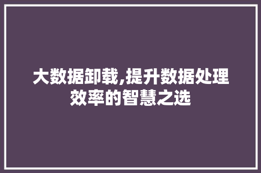 大数据卸载,提升数据处理效率的智慧之选